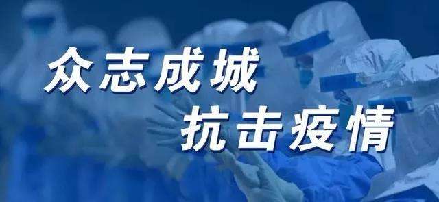 重庆市人民政府办公厅关于应对新型冠状病毒感染的肺炎疫情支持中小企业共渡难关的二十条政策措施（渝府办发〔2020〕14号）